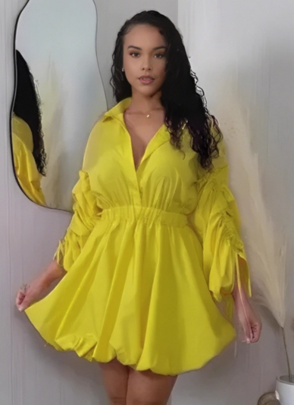Casual Drawstring Sleeves Waist Lapel Long Sleeve Dress