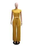Round Neck Short Sleeve Lace Panel Wide Leg Jumpsuit