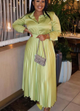 Green Celebrities Solid Color Pleated Turndown Collar Long Sleeve Two Pieces