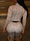 Leopard Print Casual Leopard Print Zipper Turndown Collar Long Sleeve Two Pieces