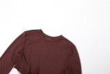Brown Sexy Solid Color See-Through Mesh O Neck Mesh Dresses