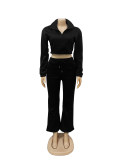 Stylish Zipper High Neck Fitted Fleece Sweatshirt and Drawstring Pants Tracksuit