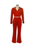 Stylish Zipper High Neck Fitted Fleece Sweatshirt and Drawstring Pants Tracksuit