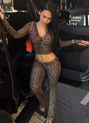 Fashionable Printed Leopard Print zip-up Long-sleeved Jacket and Trousers Set
