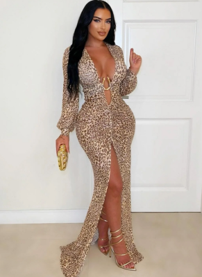 Sexy Deep V Leopard Print Slit Bodycon Dress for Fashionable Women