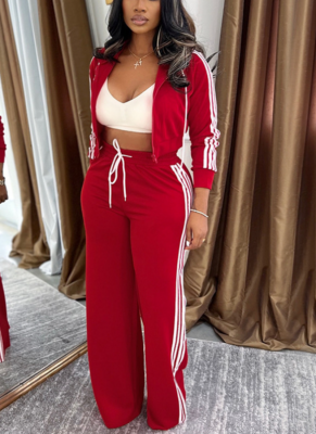 Casual Hooded Drawstring Zip-up Cardigan With Color-blocked Elastic Waist Straight Leg Pants Set