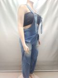 2025 Casual Zipper Denim Wide-Leg Overalls