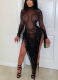 Fashionable Round Neck Polyester Mesh Sequined Tassel See-through Rhinestone Dress