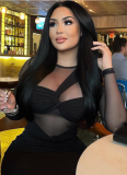 New Style Round Neck Mesh Panel Long-sleeved Mid-length Bodycon Dress