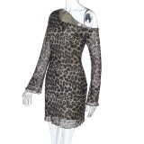 Sexy Off-the-shoulder Leopard Print Mesh Bodycon Dress