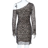 Sexy Off-the-shoulder Leopard Print Mesh Bodycon Dress