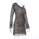 Sexy Off-the-shoulder Leopard Print Mesh Bodycon Dress