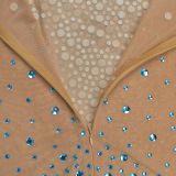 Sexy Sheer Mesh Rhinestone Embellished Bodycon Dress