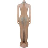 Sexy Sheer Mesh Rhinestone Embellished Bodycon Dress