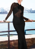 2025 Winter New Arrival Sexy Mesh Cutout Ruched Slim-Fit Dress
