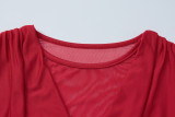 2025 Winter New Arrival Sexy Mesh Cutout Ruched Slim-Fit Dress