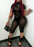 2026 Sexy Hot Girl Flocked Mesh Two-Piece Set