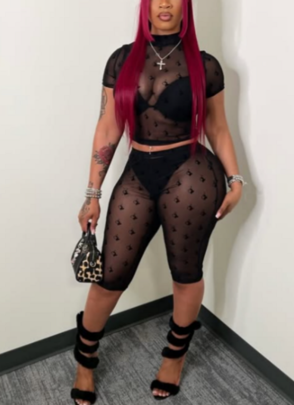 2026 Sexy Hot Girl Flocked Mesh Two-Piece Set