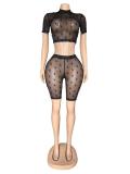 2026 Sexy Hot Girl Flocked Mesh Two-Piece Set
