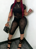 2026 Sexy Hot Girl Flocked Mesh Two-Piece Set