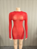 Sexy Super Elastic Glossy See-Through Dress