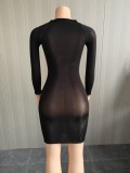 Sexy Super Elastic Glossy See-Through Dress