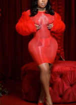 Sexy Super Elastic Glossy See-Through Dress
