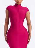 Stylish Solid-Color Stand-Collar Bodycon Bandage Dress
