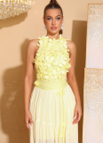 Sexy Sleeveless Mesh Dress with Yellow Color-Blocking and 3D Floral Appliqués