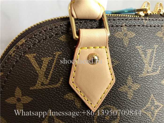 Louis Vuitton Brown Handbag