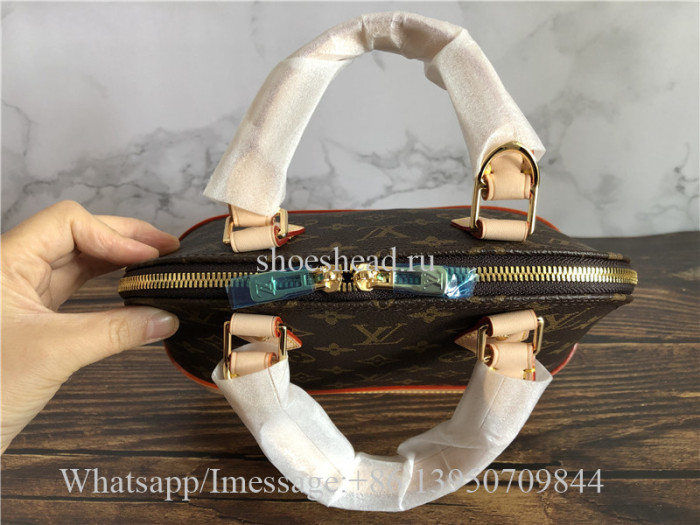 Louis Vuitton Brown Handbag