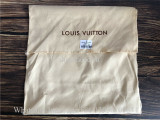 Louis Vuitton Brown Handbag