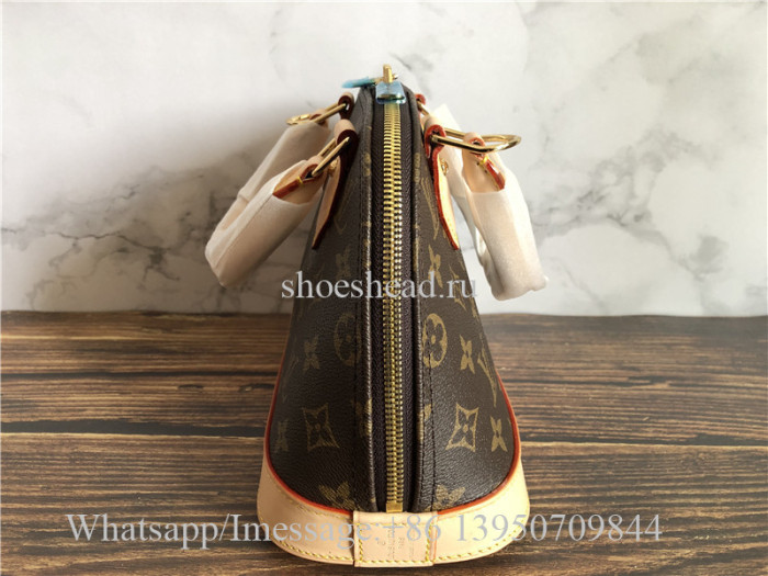 Louis Vuitton Brown Handbag