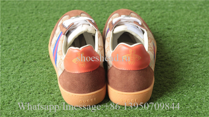 Gucci Ace Embroidered Brown Blue Red