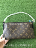 Louis Vuitton Pochette Mini Bag