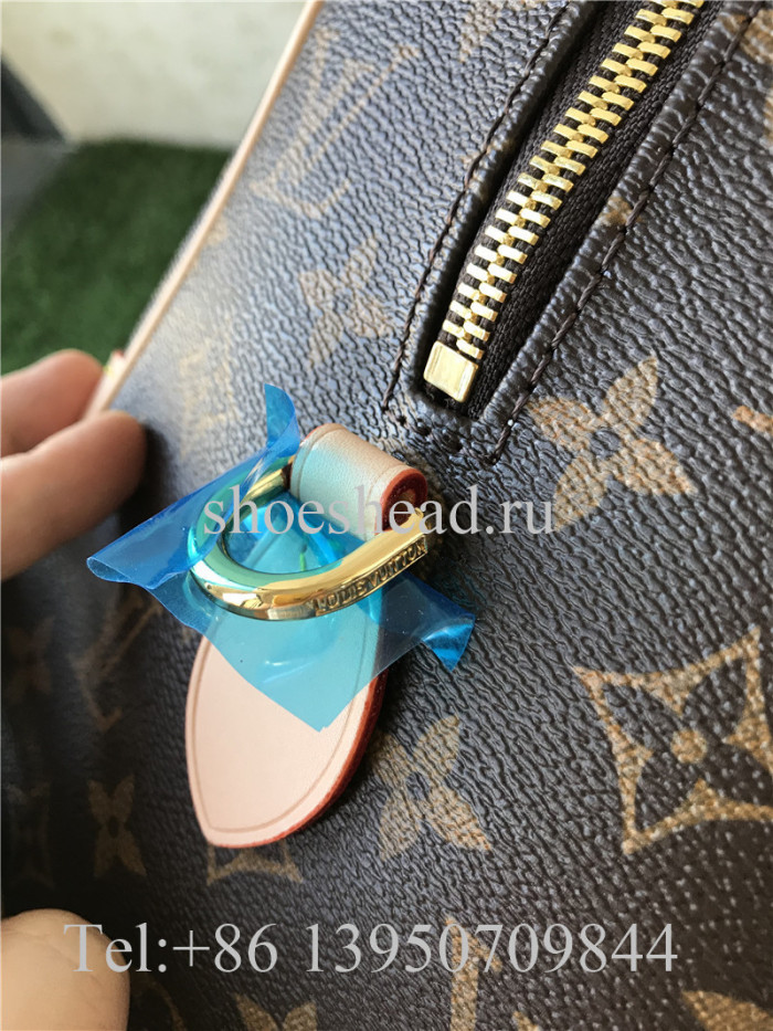 Louis Vuitton Monogram Handbag