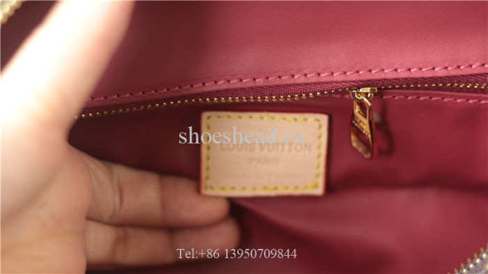 Louis Vuitton LV Trousse Toilette Bag