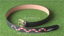 Gucci Belt 08