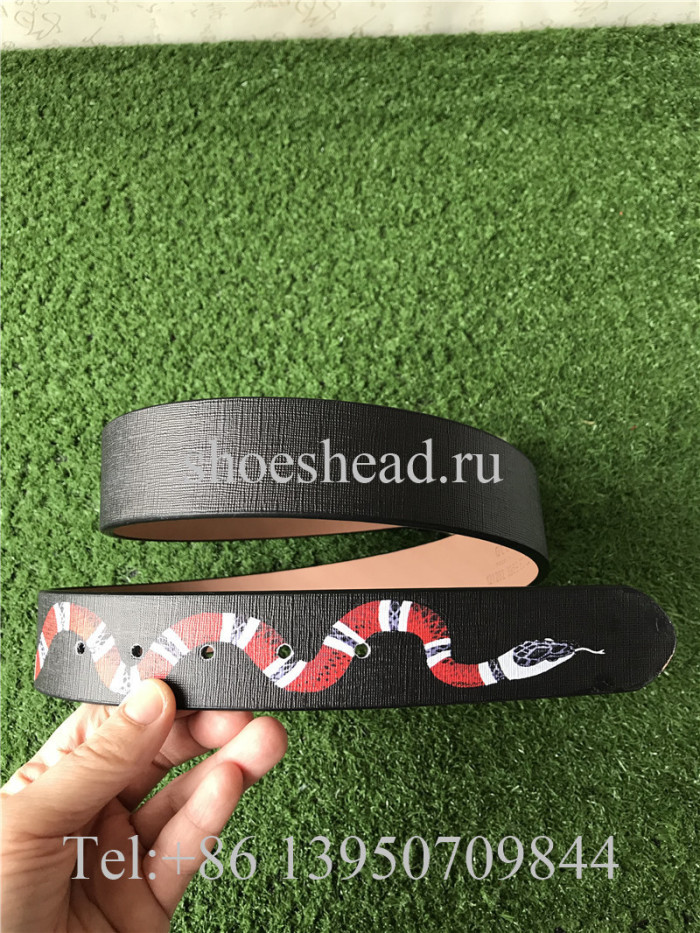Gucci Belt 08