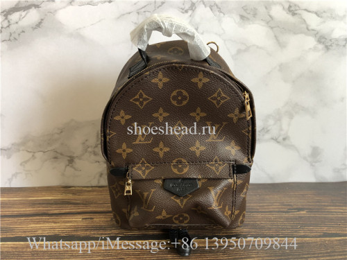 Louis Vuitton Palm Springs Mini Backpack