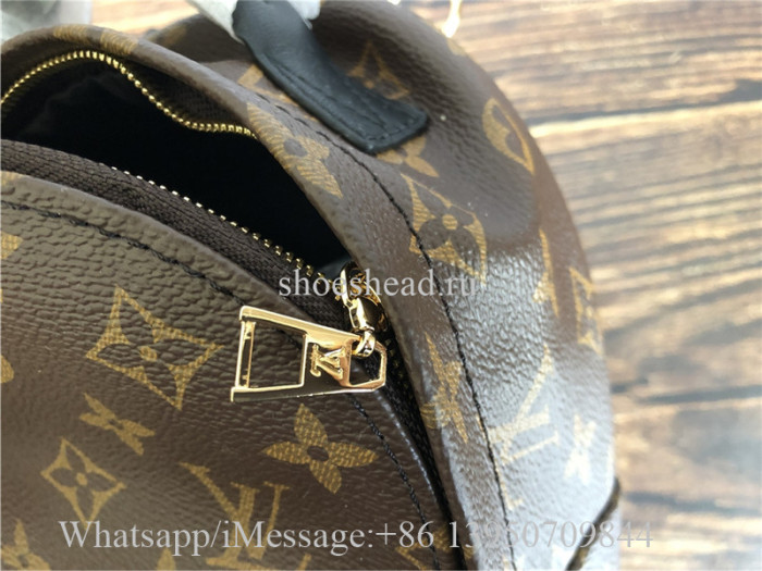 Louis Vuitton Palm Springs Mini Backpack