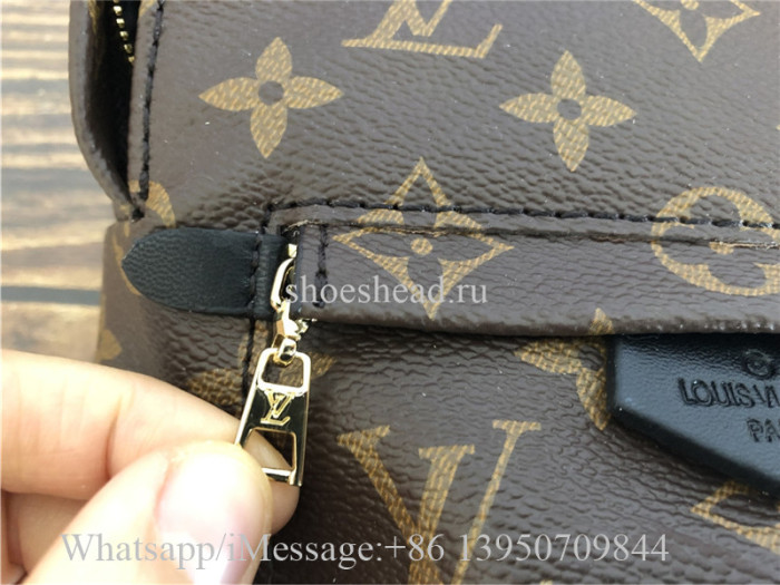 Louis Vuitton Palm Springs Mini Backpack