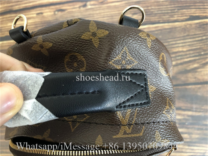 Louis Vuitton Palm Springs Mini Backpack