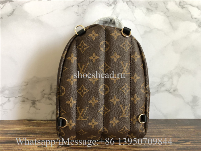 Louis Vuitton Palm Springs Mini Backpack