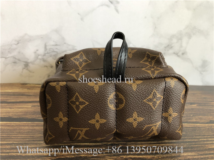 Louis Vuitton Palm Springs Mini Backpack