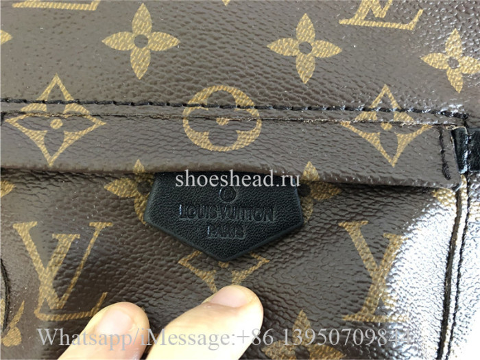 Louis Vuitton Palm Springs Mini Backpack