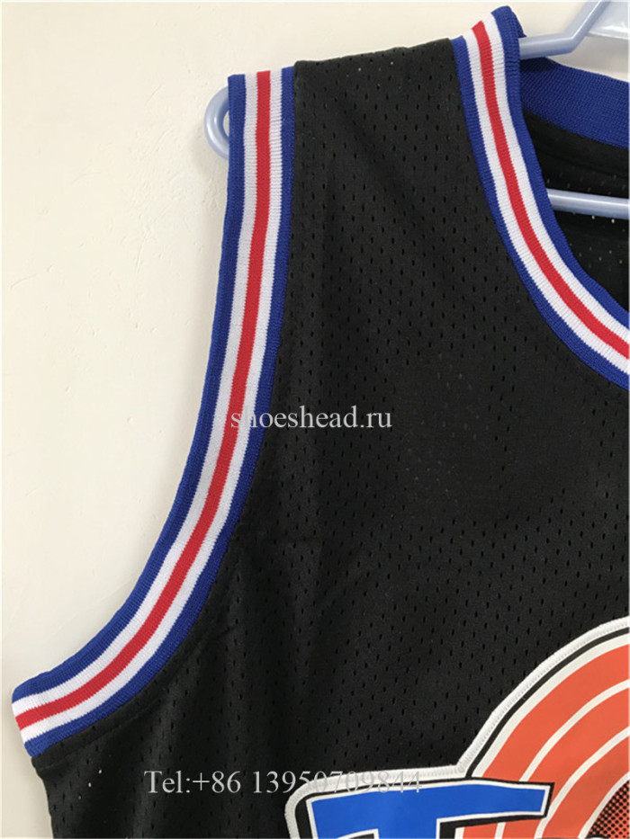 Champion Jordan 23 Tune Squad