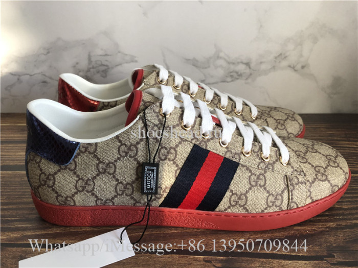 Gucci Ace Embroidered Sneaker Coffee G Logo