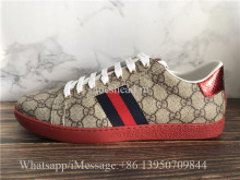 Gucci Ace Embroidered Sneaker Coffee G Logo