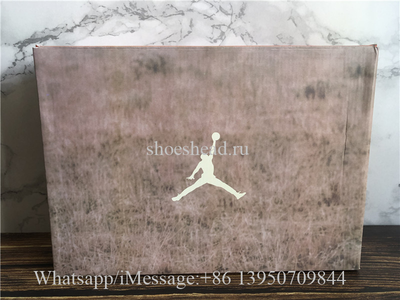 Authentic Air Jordan 3 Retro JTH NRG Bio Beige